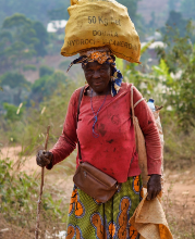 CAMEROUN-appel-détresse